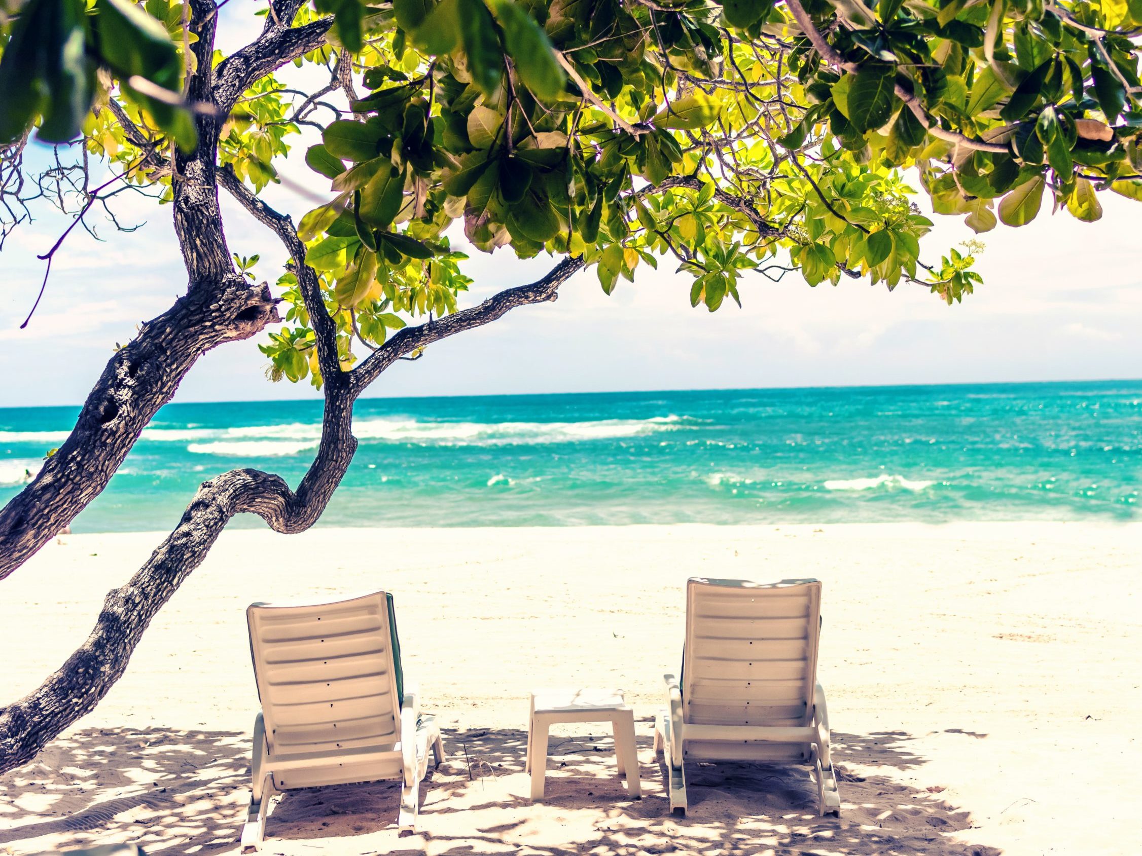 Vacation Rental Marketing News and Tips