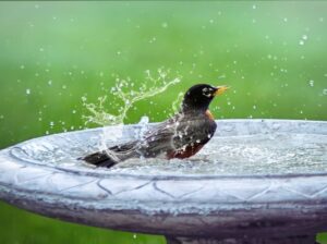 Vacation Rental Cleaning Tips