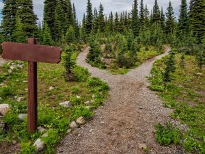 How to Choose the Best Channel Manager for Your Vacation Rental Business (5 Quick Tips!)